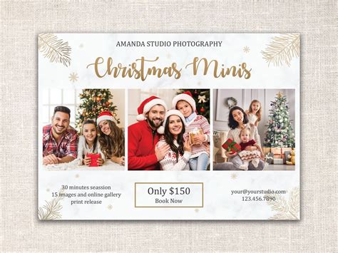 Christmas Mini Session Template Christmas Minis Flyer Etsy Mini