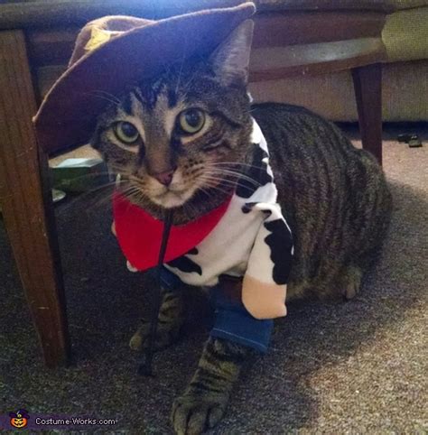 Cowboy Kitty Costume