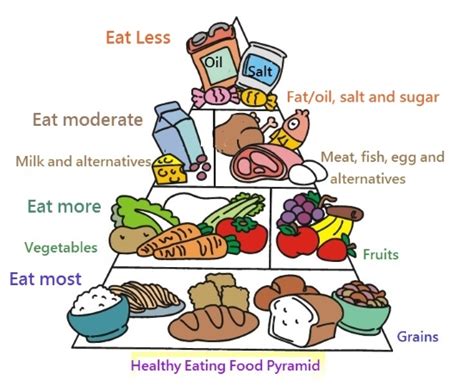 The new food pyramid still uses a pyramid shape, but instead uses the pyramid to represent the importance of physical activity. Student Health Service - Vegetarian Diet & Nutrition