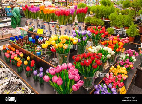 Holland Netherlands Amsterdam City Flower Market Shop Multi