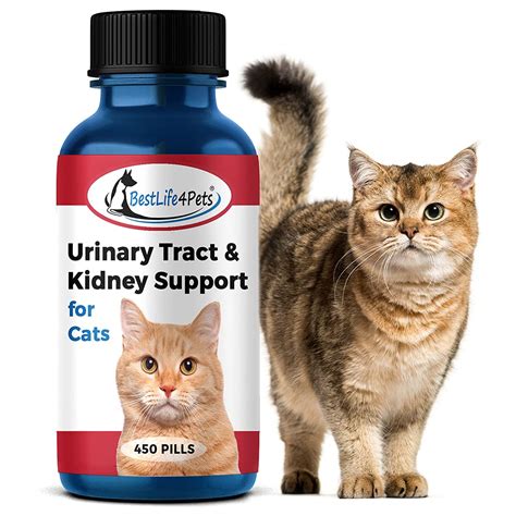 Bestlife Pets Cat Uti Urinary Tract Infection Kidney Support Treatment All Natural Feline
