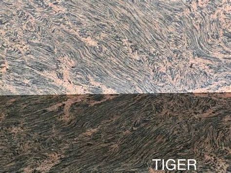 16mm Tiger Skin Granite At Rs 59 Sq Ft Tiger Skin Granite In