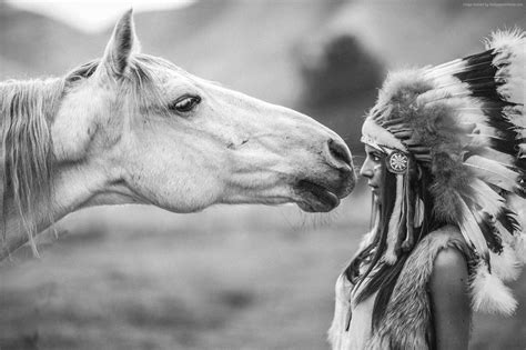 Horse Native American Art Wallpapers Top Free Horse Native American