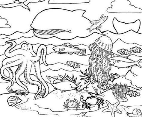All Animals Coloring Pages Download And Print For Free