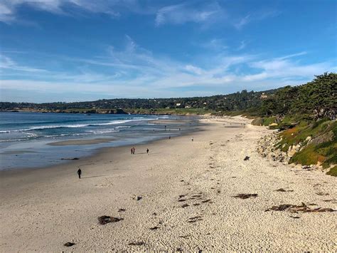 Carmel Beach Roadside Secrets