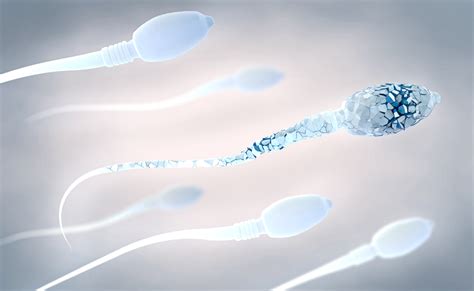 What Causes Abnormal Sperm Forms Male Ultracore Blog