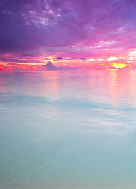 Photography Swag Dope Summer Fresh Pink Beach Ocean Sunset