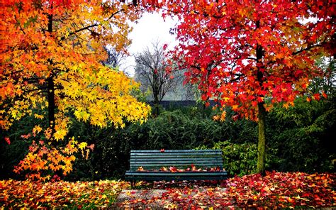 Bench Background 48 1600x1000 Autumn Landscape Leaf Wallpaper