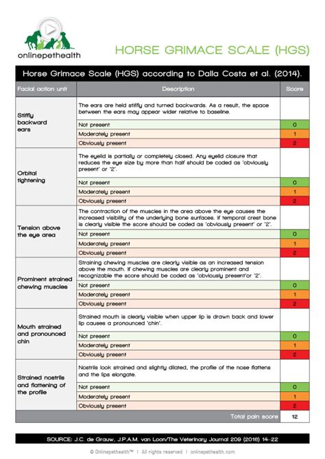 Equine Pain Scale Charts Onlinepethealth