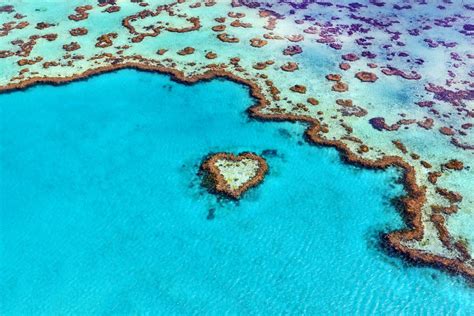 Heart Reef Chilby Photography