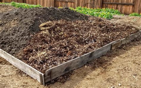 My Trench Composting Project