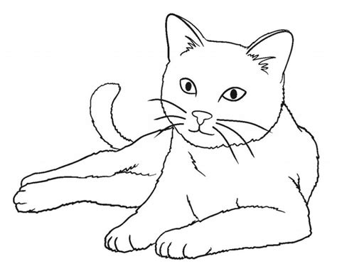 50 Desenhos De Gato Para Imprimir E Colorir Online Cursos Gratuitos
