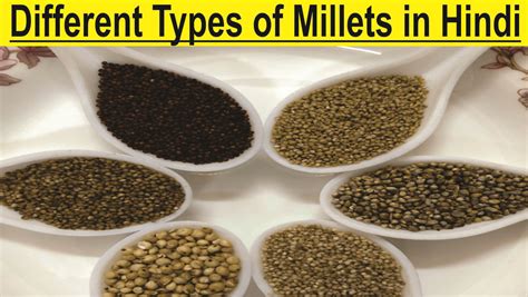 Millet In Hindi Different Types Of Millets In Hindi