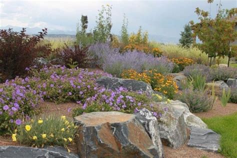 Colorado Xeriscape Landscaping Ideas