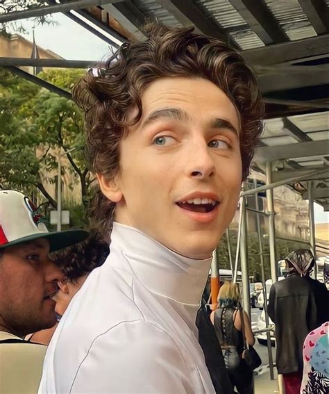 55 Latest Timothee Chalamet Hairstyles 2023