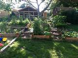 Building a Raised Garden Into a Hillside. : 5 Steps (with Pictures) - Instructables