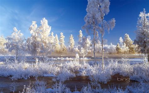 Weekly Bing Wallpapers 25 To 31 December 2012 Hd