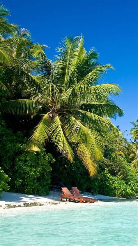 938x1668 Wallpaper Maldives Tropical Beach Palm Trees Summer Heat