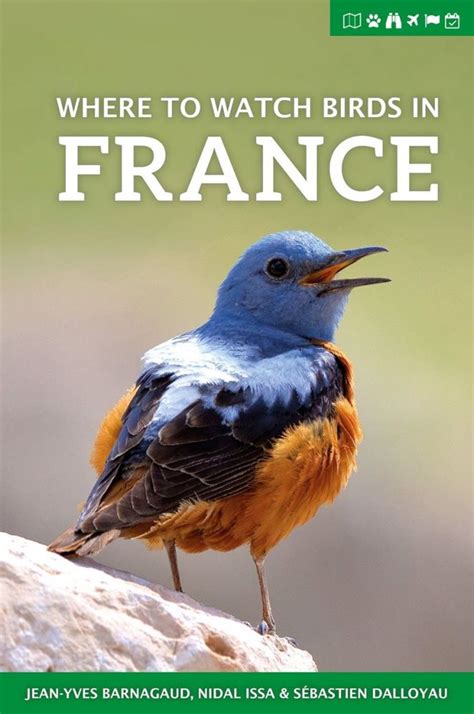 Where To Watch Birds In France Naturbutiken