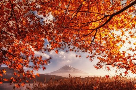 Free Download Hd Wallpaper Fall Volcano Mount Fuji Japan Orange
