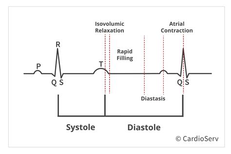 Understanding The Basics Physiology Of Diastole Cardioserv