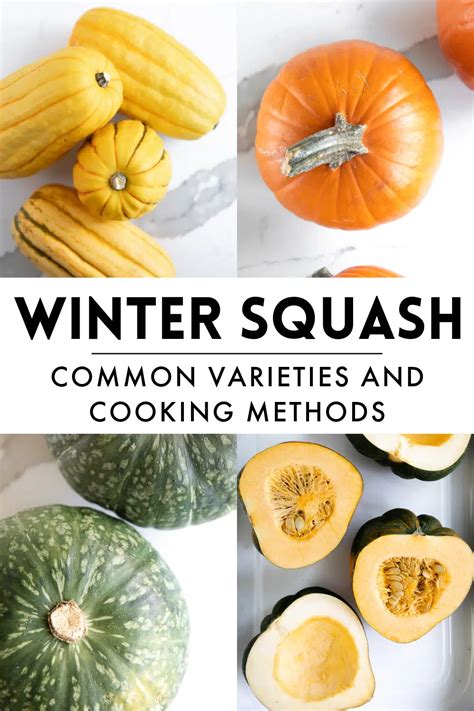 A Guide To The Most Popular Types Of Winter Squash Including Varieties