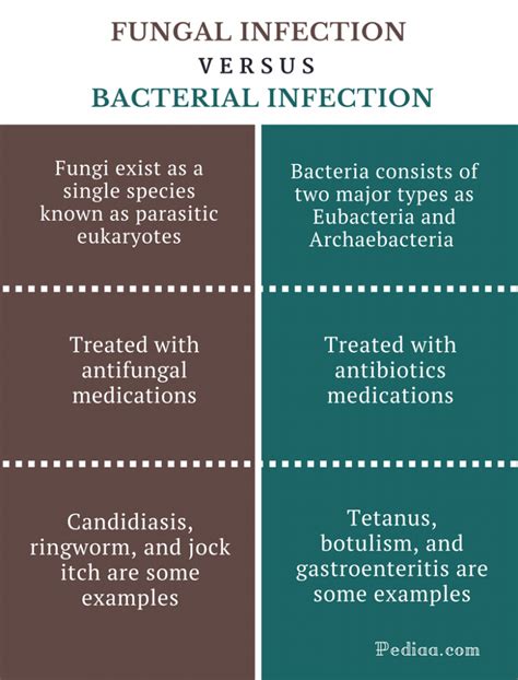Difference Between Fungal And Bacterial Infection Cause Common Types