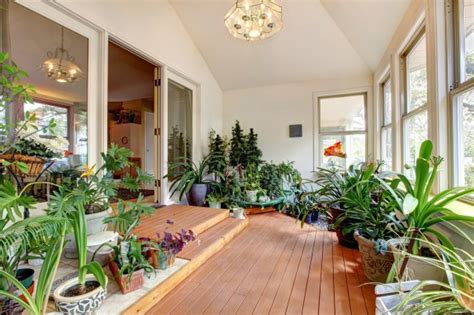 How To Grow The Best Houseplants Thompson And Morgan Blog