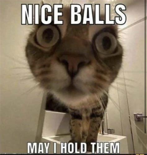 nice balls may i hold them r meme