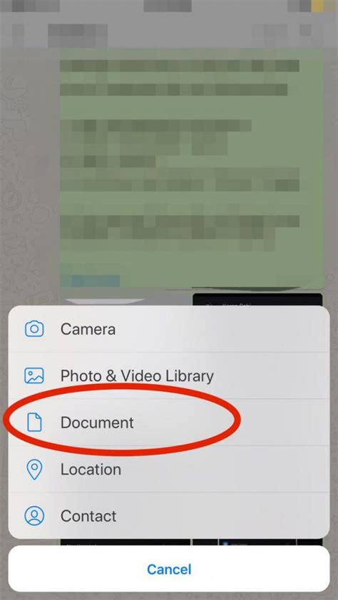 How To Send Image As A Document In Whatsapp Iphone