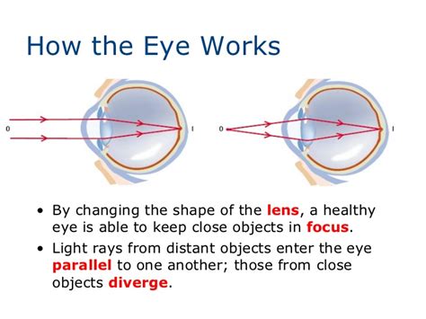 Lenses And The Human Eye