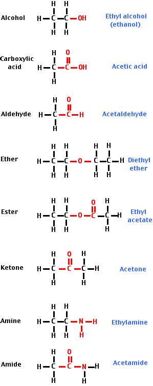 21 Organic Molecules Biology Libretexts