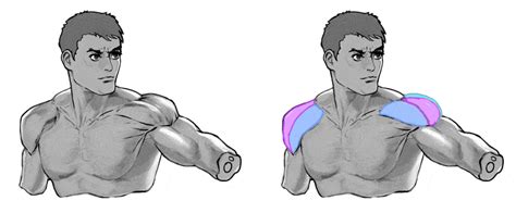 How To Draw The Shoulders From The Front Back And Arms Raised