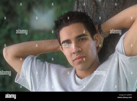 22 year old half mexican half caucasian male with hands behind head leaning against tree stock