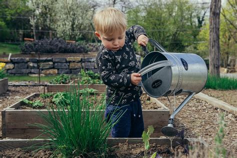 Growing Green Thumbs Fun Gardening Activities For Kids