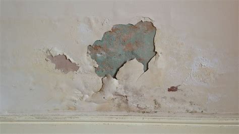 How To Stop Damp And Damp Patches On Your Internal Walls Damp Proofing Walls Peeling Wall