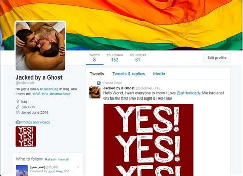 Islamic State Twitter Accounts Made Pro Gay By Hacker Newshub