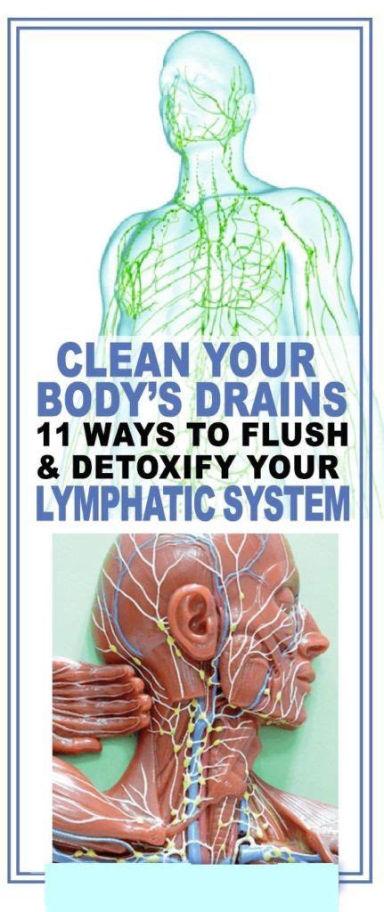 Clean Your Bodys Drains 11 Ways To Detoxify Your Lymphatic System