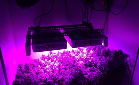 How high should i hang my led grow light? Best LED Grow Light setup: Instructions How to hang ...