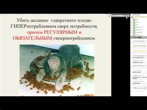 Жировая диета - YouTube Картинка - Жировая диета - YouTube
