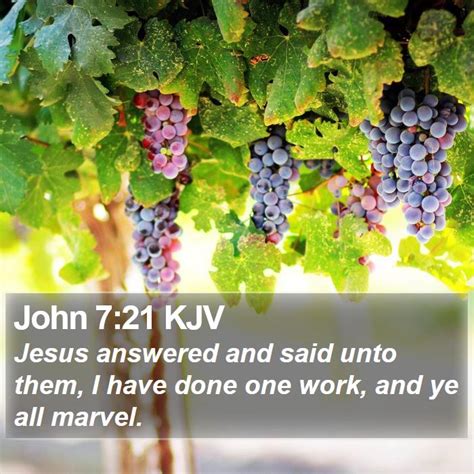 John 721 Kjv Jesus Answered And Said Unto Them I Have Done