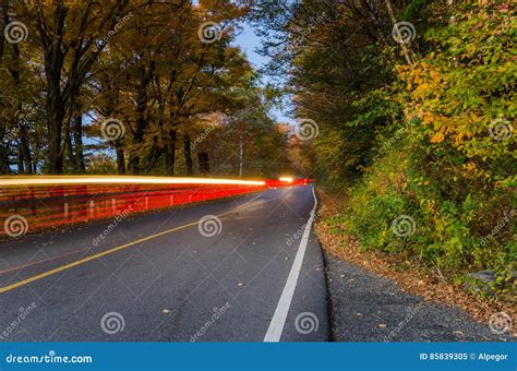 Forest Road At Dusk And Light Trails Stock Image Image Of Colors