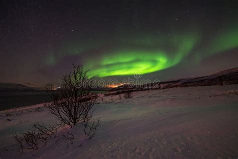 Northern Lights Winter Time In Alta Norway Stock Photo Image Of