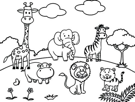 Zoo Animal Coloring Pages For Preschool At Free
