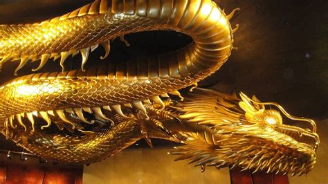 Gold Dragon Wallpapers Top Free Gold Dragon Backgrounds Wallpaperaccess