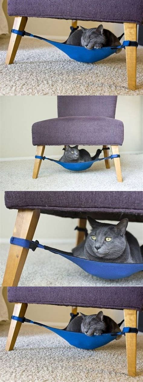 Diy Hammock For Cat Idea Diy Projects On Imgfave Cats