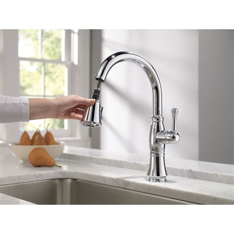 Delta Cassidy Single Faucet Janibrightand