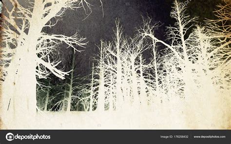 Surrealistic Misty Woods Dead Forest — Stock Photo © Boscorelli 176258432