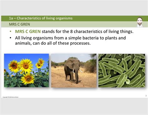 1a Characteristics of Living Things