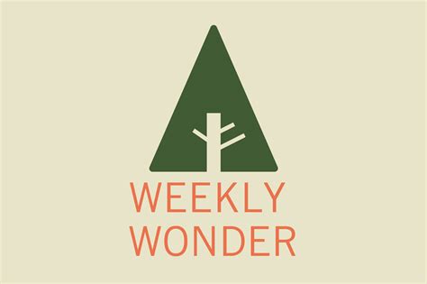 Weekly Wonder Tremont Institute